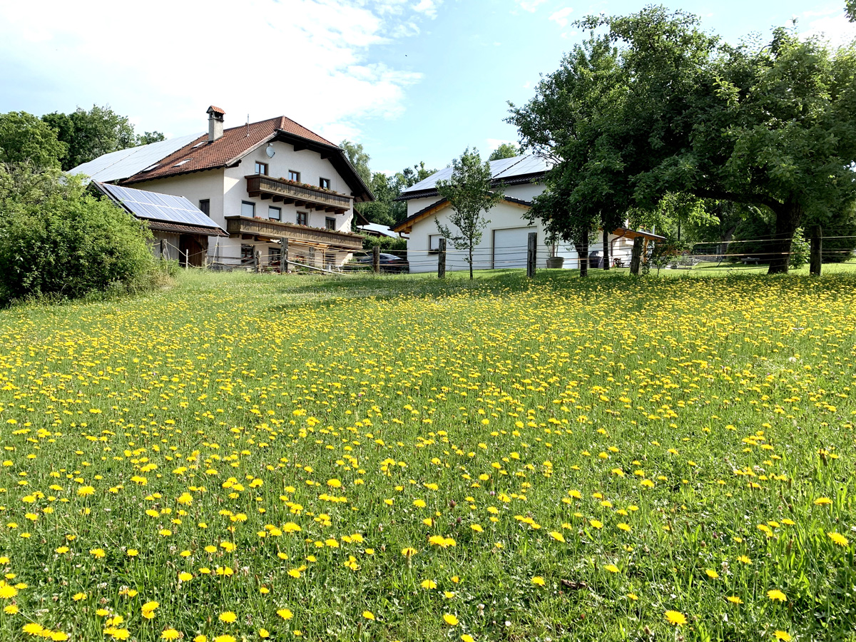 1_hofansicht_sommer.jpg